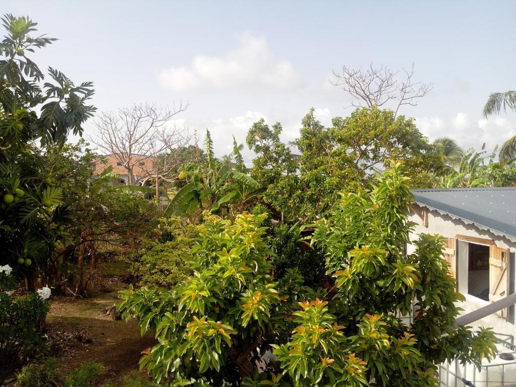 Maison Des Alizes Gros Cap Rum bild